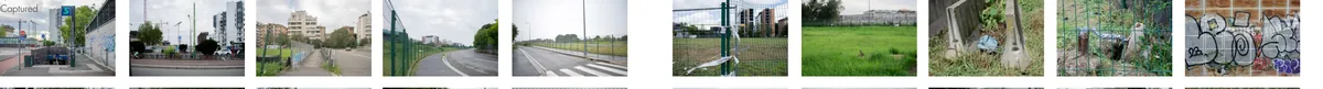 Panoramic sequence of ten photographs documenting paths, fences, vegetation, discarded objects, and graffiti at the Patch