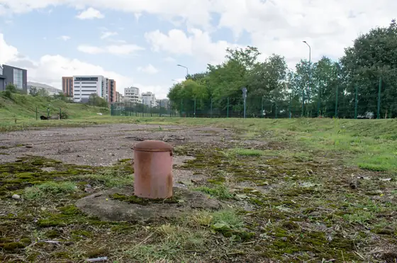 Cut grass around an orange pipe stub