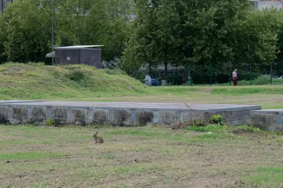Grass mound with stone edging and a rabbit in the distance