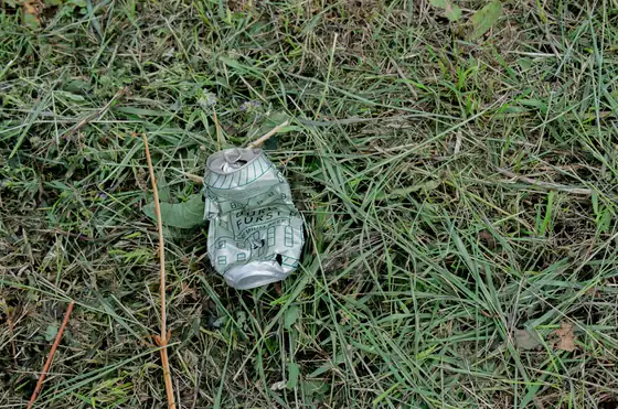 Plastic bottle in grass