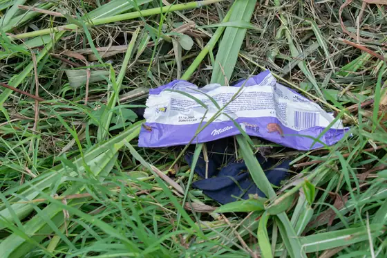 Crisp packet in grass