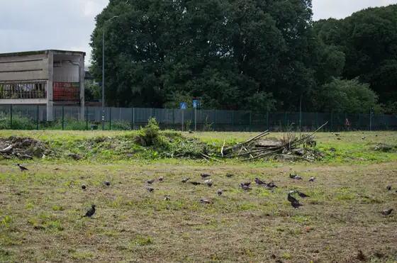 Open ground with a depot building behind