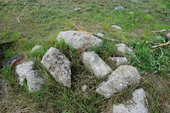 Pile of stones in grass