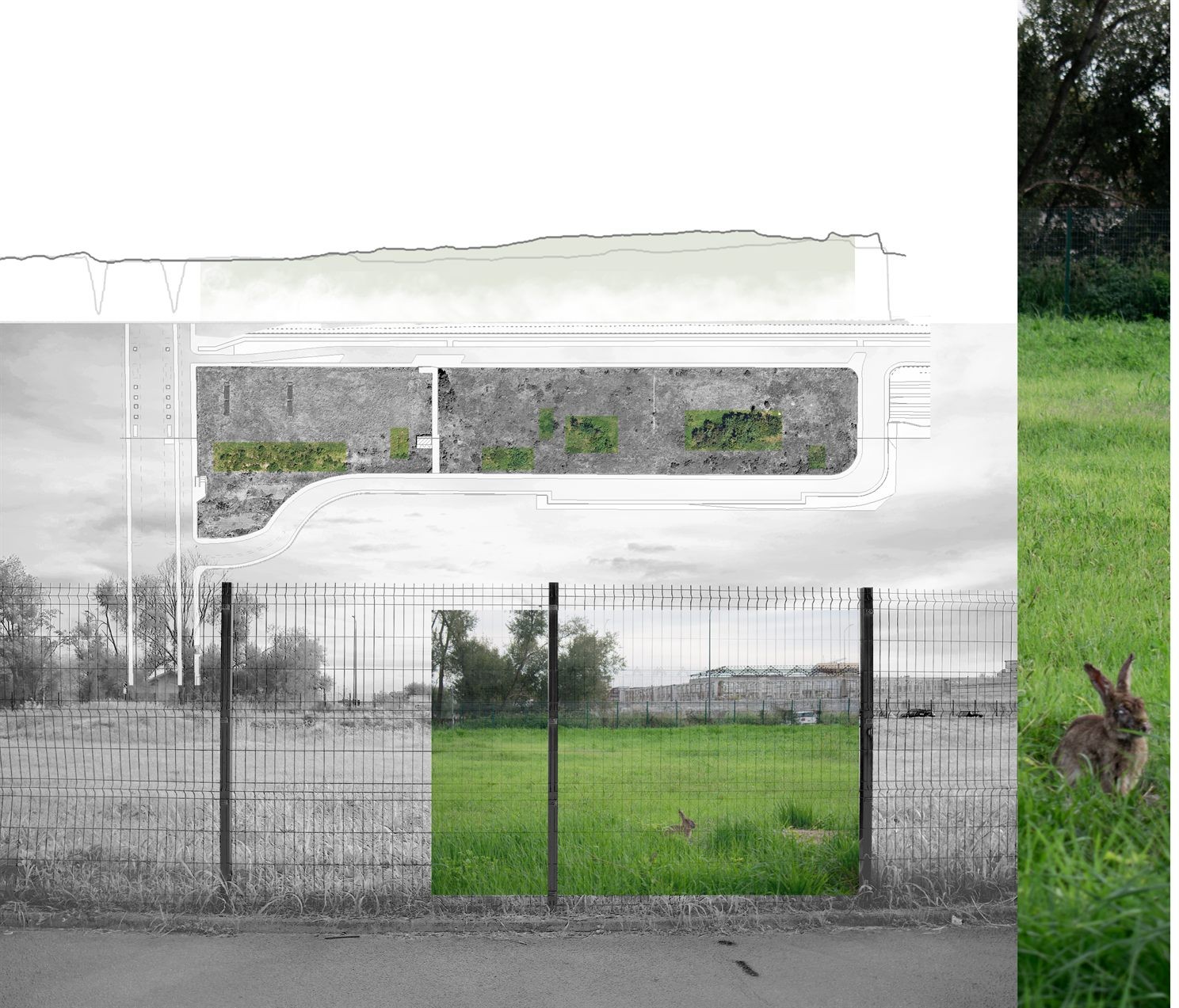 Composite montage of the Patch combining an aerial diagram, a fenced field, and roadside vegetation