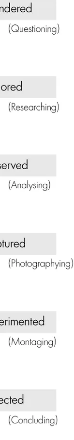 Vertical method sequence reading wondered, explored, observed, captured, experimented, and reflected