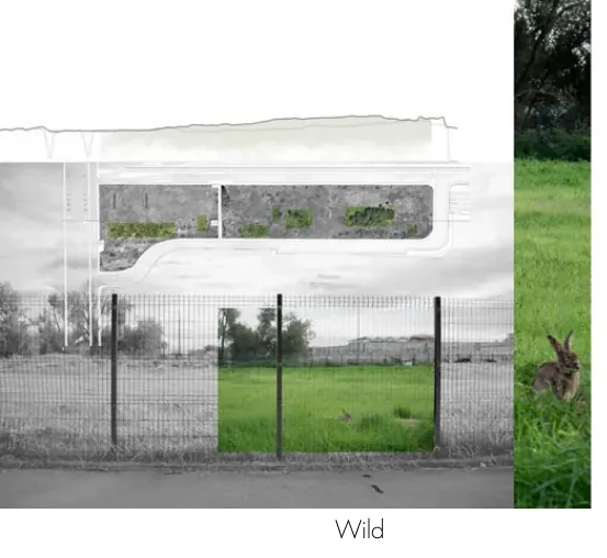 Wild montage combining a fenced field, vegetation, plan fragments, and a rabbit