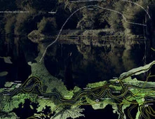 Dark photograph of still water and vegetation