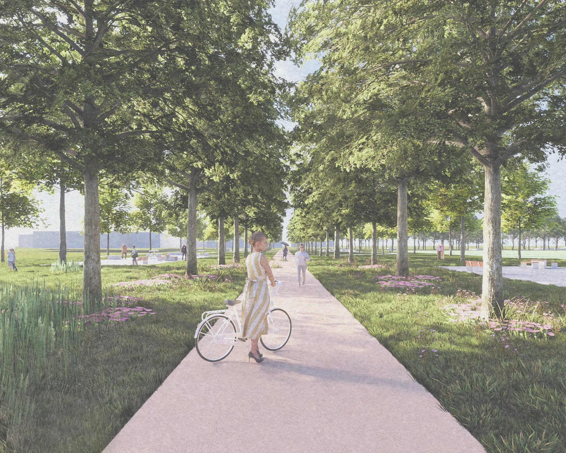 Perspective of the agricultural fringe: a pink trail runs straight between two rows of tall trees with open meadow and public seating areas on either side