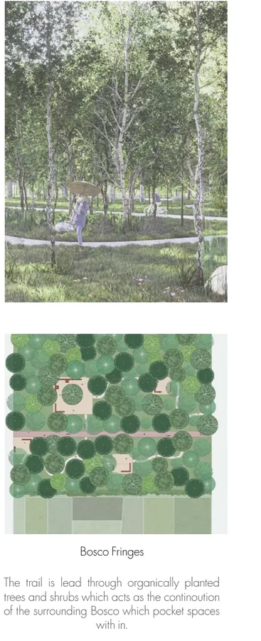 Perspective and plan of the Bosco fringe where a trail, planted frame, and woodland meet