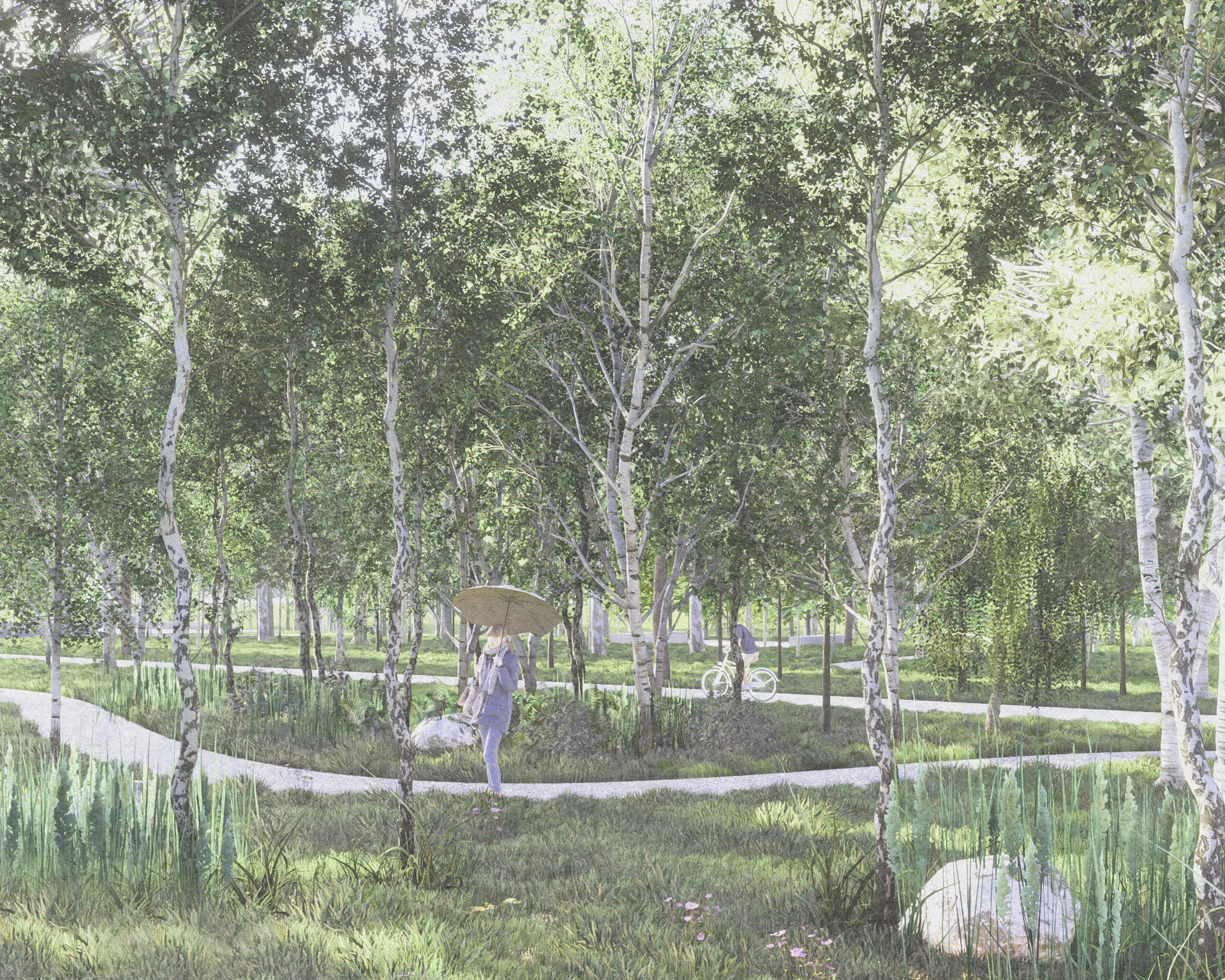 Perspective of the Bosco fringe: a curving gravel trail through an organically planted birch wood with tall grasses, boulders and a person under an umbrella