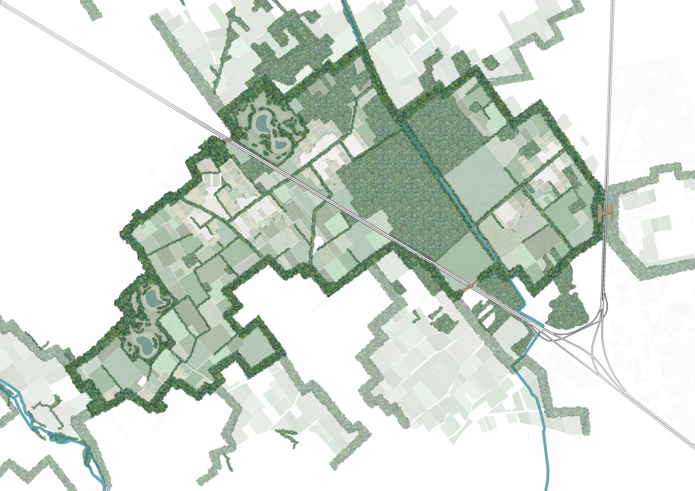 Plan at fifty years: a dense mature frame of trees surrounds the site and green fringes extend out into the neighbouring fields