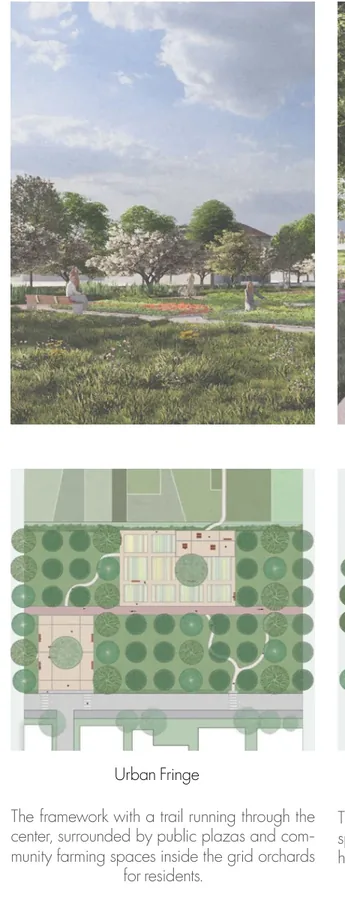 Perspective and plan of an urban fringe where a public trail and tree grid form a transition to settlement