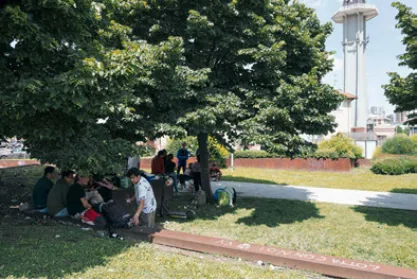 A small group gathering on a low wall beneath mature shade trees in a public green space