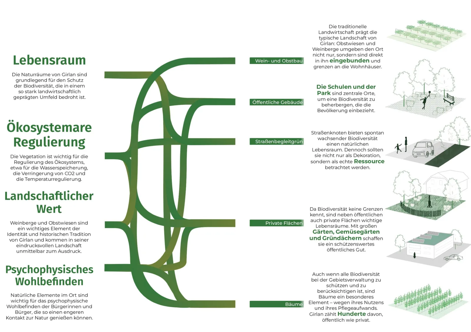 Flowchart in German linking four values of green space (habitat, ecosystem regulation, landscape value, psychophysical wellbeing) to five typologies, each with a short note and an axonometric drawing: vineyards and orchards, public buildings, roadside greenery, private areas, and trees